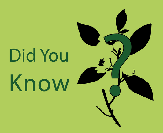 Did You Know?