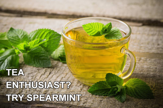 Tea Enthusiast ? Try Spearmint