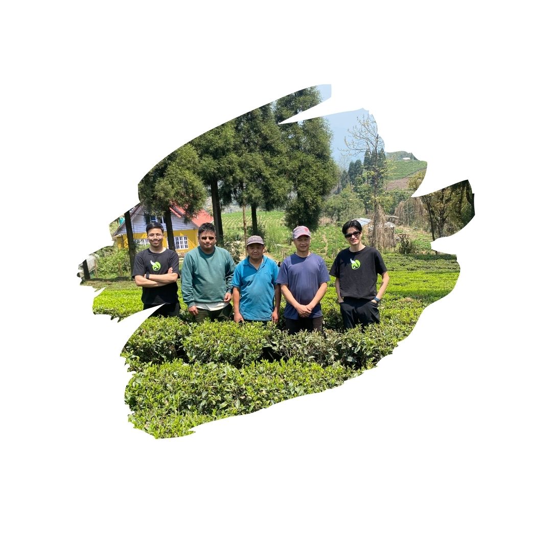 JASBIRE WHOLESALE COLLECTION