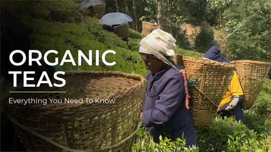 Organic Teas: Everything You Need to Know