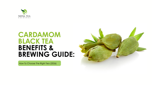 Cardamom Black Tea Benefits & Brewing Guide: How To Choose The Right Tea (2026)