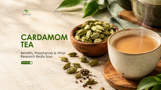 Cardamom Tea: Benefits, Polyphenols & What Research Really Says