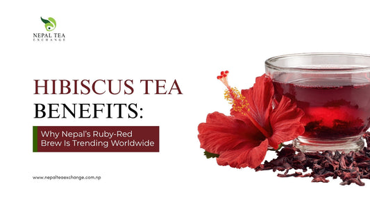 Hibiscus Tea Benefits: Why Nepal’s Ruby-Red Brew Is Trending Worldwide