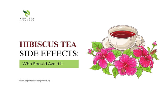 Hibiscus Tea Side Effects and Who Should Avoid It