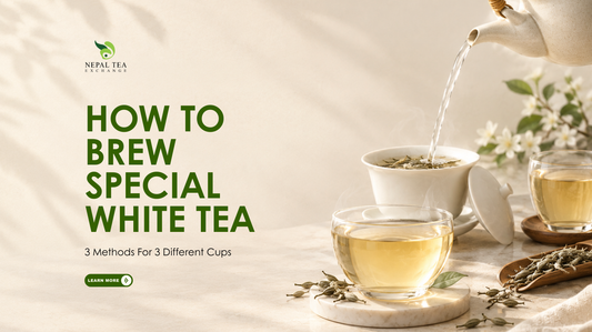 How To Brew Special White Tea: 3 Methods For 3 Different Cups