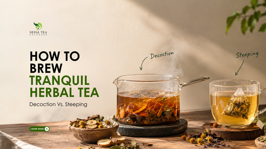 How to Brew Tranquil Herbal Tea: Decoction vs. Steeping