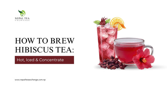 How to Brew Hibiscus Tea: Hot, Iced and Concentrate