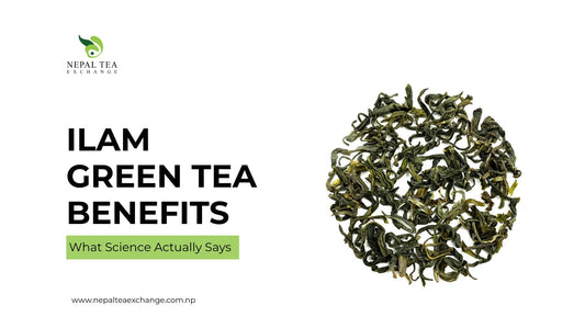 Ilam Green Tea Benefits: What Science Actually Says