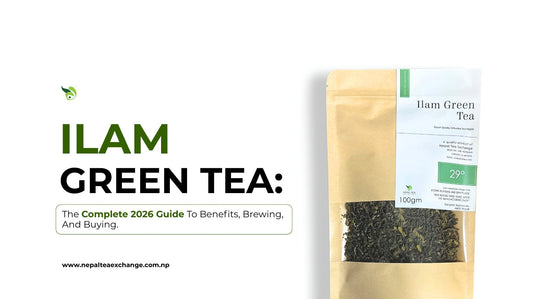 Ilam Green Tea: The Complete 2026 Guide To Benefits, Brewing, And Buying