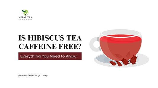Is Hibiscus Tea Caffeine Free? Everything You Need to Know