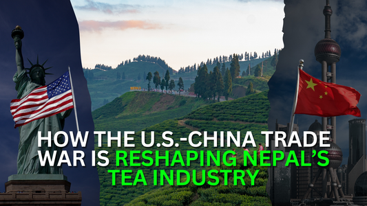 U.S.-China Trade War: Impact on Nepal’s Tea Industry in 2025