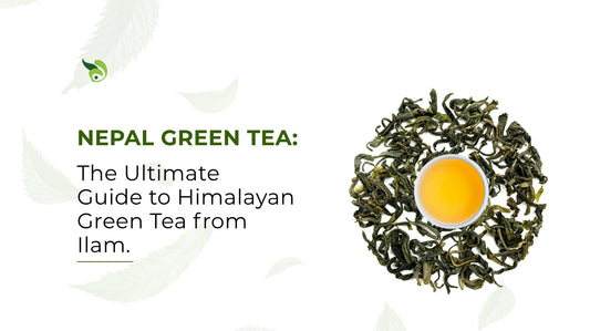 Nepal Green Tea: The Ultimate Guide to Himalayan Organic Green Tea