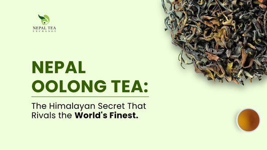 Everything You Need to Know About Premium Nepal Oolong Tea