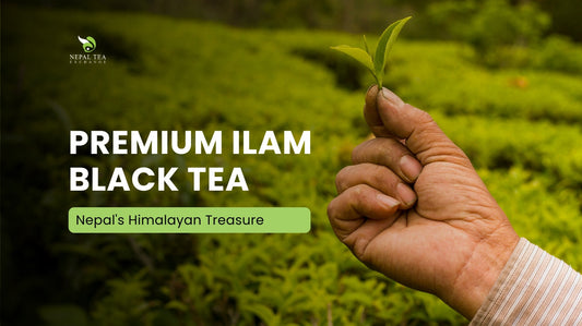 Premium Ilam Black Tea Nepal's Himalayan Treasure