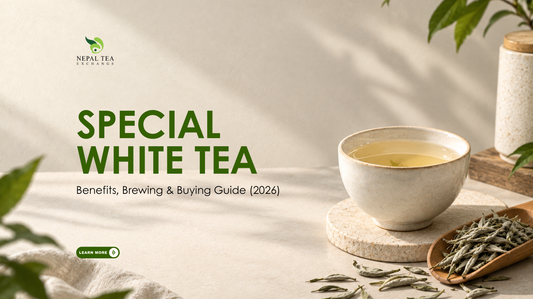 Special White Tea: Benefits, Brewing & Buying Guide (2026)