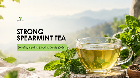 Strong Spearmint Tea: Benefits, Brewing & Buying Guide (2026)