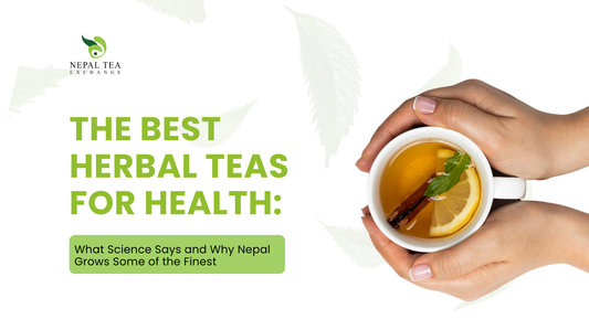 Nepal’s Herbal Tea Culture: Between Tradition and Modern Wellness
