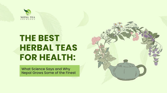 The Best Herbal Teas for Health: What Science Says and Why Nepal Grows Some of the Finest
