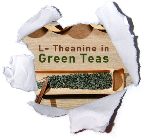 Health Benefits of L-Theanine in Green Tea