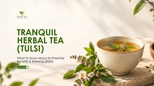 Tranquil Herbal Tea (Tulsi): What To Know About Its Potential Benefits & Brewing (2026)