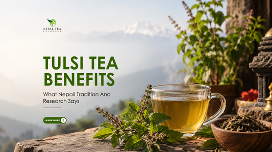 Tulsi Tea Benefits: What Nepali Tradition And Research Says