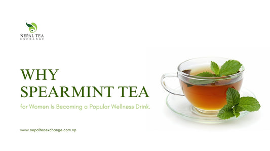Why Spearmint Tea for Women Is Becoming a Popular Wellness Drink