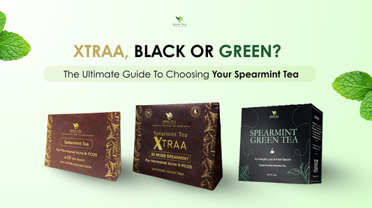 XTRAA, Black Or Green? The Ultimate Guide To Choosing Your Spearmint Tea