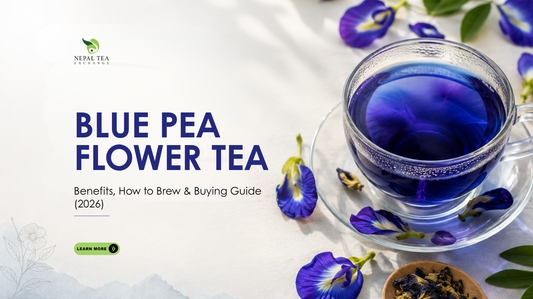 Blue Pea Flower Tea: Benefits, How to Brew & Buying Guide (2026)