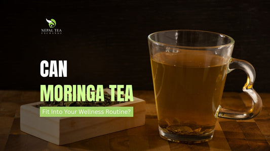 Can Moringa Tea Fit Into Your Wellness Routine? A Complete Guide