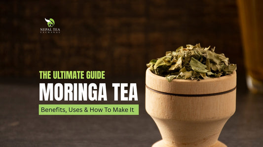The Ultimate Guide To Moringa Tea: Benefits, Uses & How To Make It