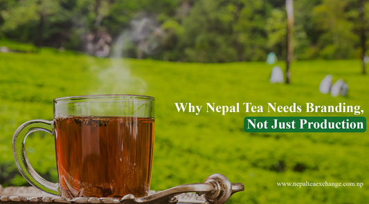 Why Nepal Tea Needs Branding, Not Just Production