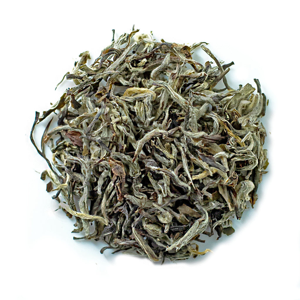 19° Special White Tea